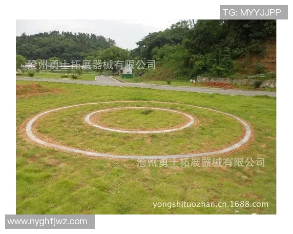 极限运动新手必看：全面战术入门与实用技巧指南