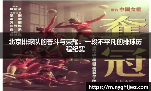 77体育官网
